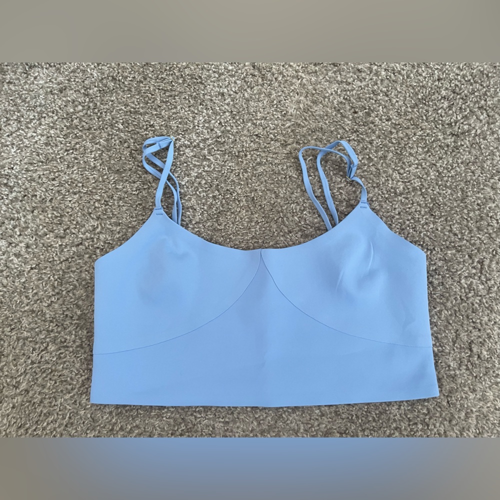 Free People Blue Sleeveless Crop Bustier Tank Top